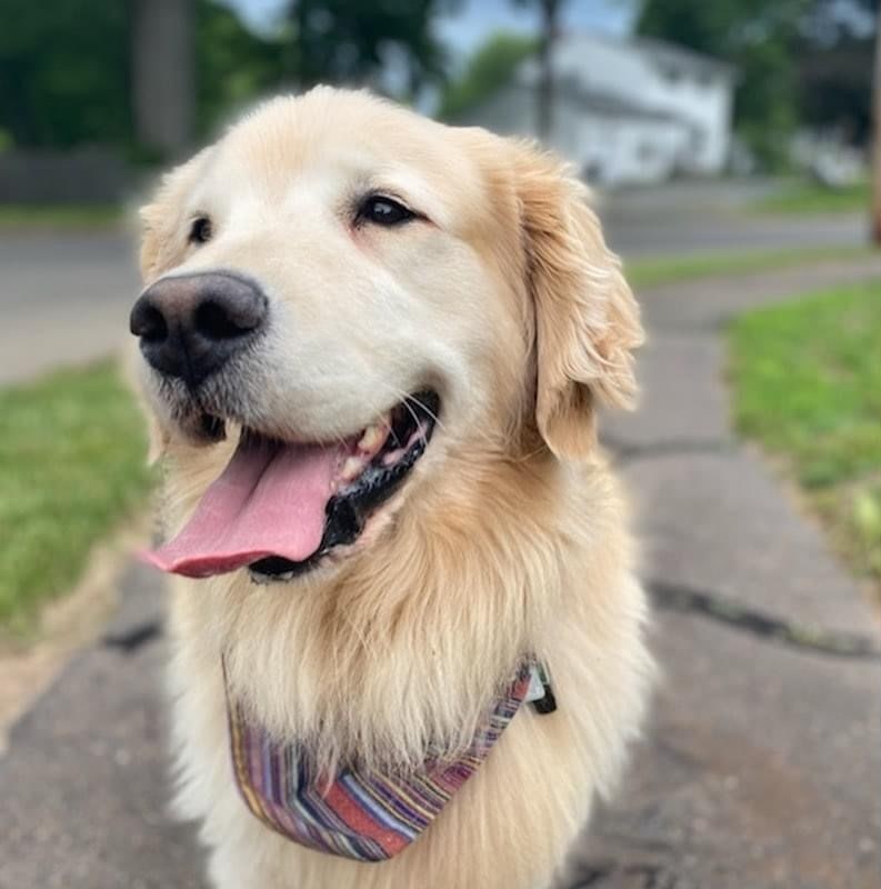 Brad smiling for his dog walker