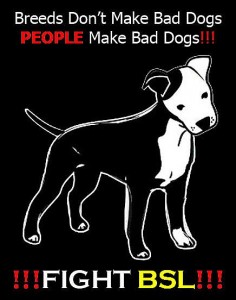 fight BSL