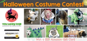 dog walking Halloween contest