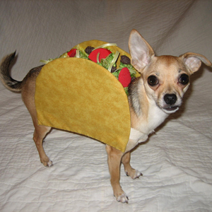 pet-taco