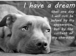 pit-bull-dream