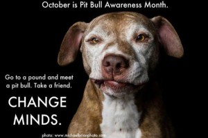 pitbull awareness month
