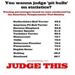 temperment test scores