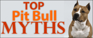 top_pitbull_myths